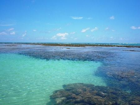 Flats Vista Mar E Frente Mar Na プライア・ドス・カルネイロス エクステリア 写真